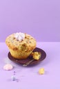 Muffin Cake with Walnuts Royalty Free Stock Photo