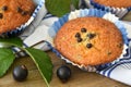 Muffin cakes with blackcurrants