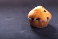 Muffin with cherries. One muffin in a white box Royalty Free Stock Photo