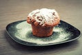 Muffin chocolate cake with white powdered sugar