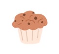 Muffin with chocolate flavor and choco chips. Cupcake with with lush top and cookie drops. Sweet bakery. Flat vector