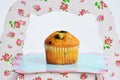 Muffin with chocolate on the stand Royalty Free Stock Photo