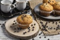 Muffin or cupcake with chocolate chips on wooden table background. Concept of making industrial or homemade pastries