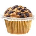 Muffin Cupcake Chocolate Isolated