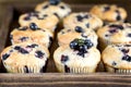 Muffin cupcakes with blueberries on a wooden tray Cupcakes decorated with berries Horizontal photo Royalty Free Stock Photo