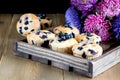 Muffin cupcakes with blueberries on a wooden tray Cupcakes decorated with berries Horizontal photo Royalty Free Stock Photo