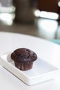 Muffin Royalty Free Stock Photo