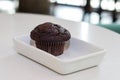 Muffin Royalty Free Stock Photo