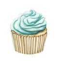 Watercolor cupcake with mint cream Royalty Free Stock Photo