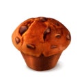 Muffin vector illustration Royalty Free Stock Photo