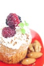 Muffin with whipped cream and berries