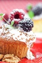 Muffin with whipped cream and cake with icing Royalty Free Stock Photo