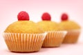 Muffins Royalty Free Stock Photo