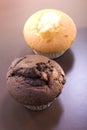 Muffins Royalty Free Stock Photo