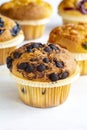 Muffins. Assortment of muffins on a white background. Story format Royalty Free Stock Photo