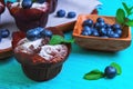 Muffins with berries blueberry Royalty Free Stock Photo