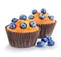 Muffins with berries close-up isolated on a white Royalty Free Stock Photo