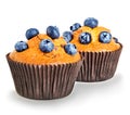 Muffins with berries close-up isolated on a white Royalty Free Stock Photo
