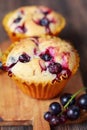 Muffins with black currant