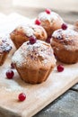 Muffins with black currant Royalty Free Stock Photo