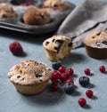 Muffins blueberry redberry homemade cake baked close up