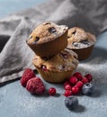 Muffins blueberry redberry homemade cake baked close up