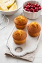 Muffins, cakes with cranberry and lemon on a white board. Royalty Free Stock Photo