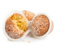 Muffins cheese isolated on white Royalty Free Stock Photo