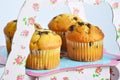 Muffins with chocolate on the stand Royalty Free Stock Photo