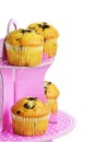 Muffins with chocolate on the stand Royalty Free Stock Photo