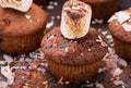 Muffins with colorful sprinkles and marshmallows Royalty Free Stock Photo