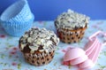 Muffins or cupcakes topped with chocolate and almo