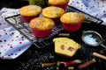 Muffins. Delicious homemade muffins with rhubarb Royalty Free Stock Photo