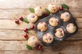 Muffins with fresh cherries sprinkled with powdered sugar close-up in a muffin tin. Horizontal top view Royalty Free Stock Photo