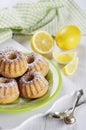 Muffins and fresh lemons Royalty Free Stock Photo