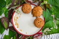 Muffins and peanuts on a ceramic plate, with green and red plant leaves and wild flowers on cotton tablecloth. Mock up. Template Royalty Free Stock Photo