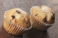 Muffins with raisins, close up