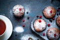 Muffins with red and black currant Royalty Free Stock Photo