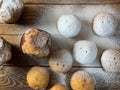 Muffins sprinkled with powdered sugar Royalty Free Stock Photo