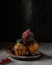Muffins on a wooden serving board with berries sprinkled with powdered sugar. Royalty Free Stock Photo