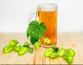 Mug of beer and branch of hops on wooden surface