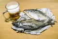 Mug with beer and dried fish at the newspaper Royalty Free Stock Photo