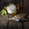 Mug of beer and dried fish Royalty Free Stock Photo