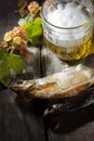 Mug of beer and dried fish Royalty Free Stock Photo
