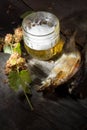 Mug of beer and dried fish Royalty Free Stock Photo