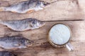 Mug of beer and dried fish on the table Royalty Free Stock Photo