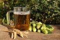 Mug with beer, fresh hops and ears of wheat on wooden table outdoors, space for text Royalty Free Stock Photo