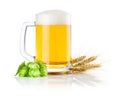 Mug beer with Green hops and ears of barley Royalty Free Stock Photo