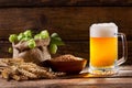 Mug of beer with green hops, wheat ears and grains Royalty Free Stock Photo