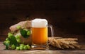 Mug of beer with green hops and wheat ears Royalty Free Stock Photo